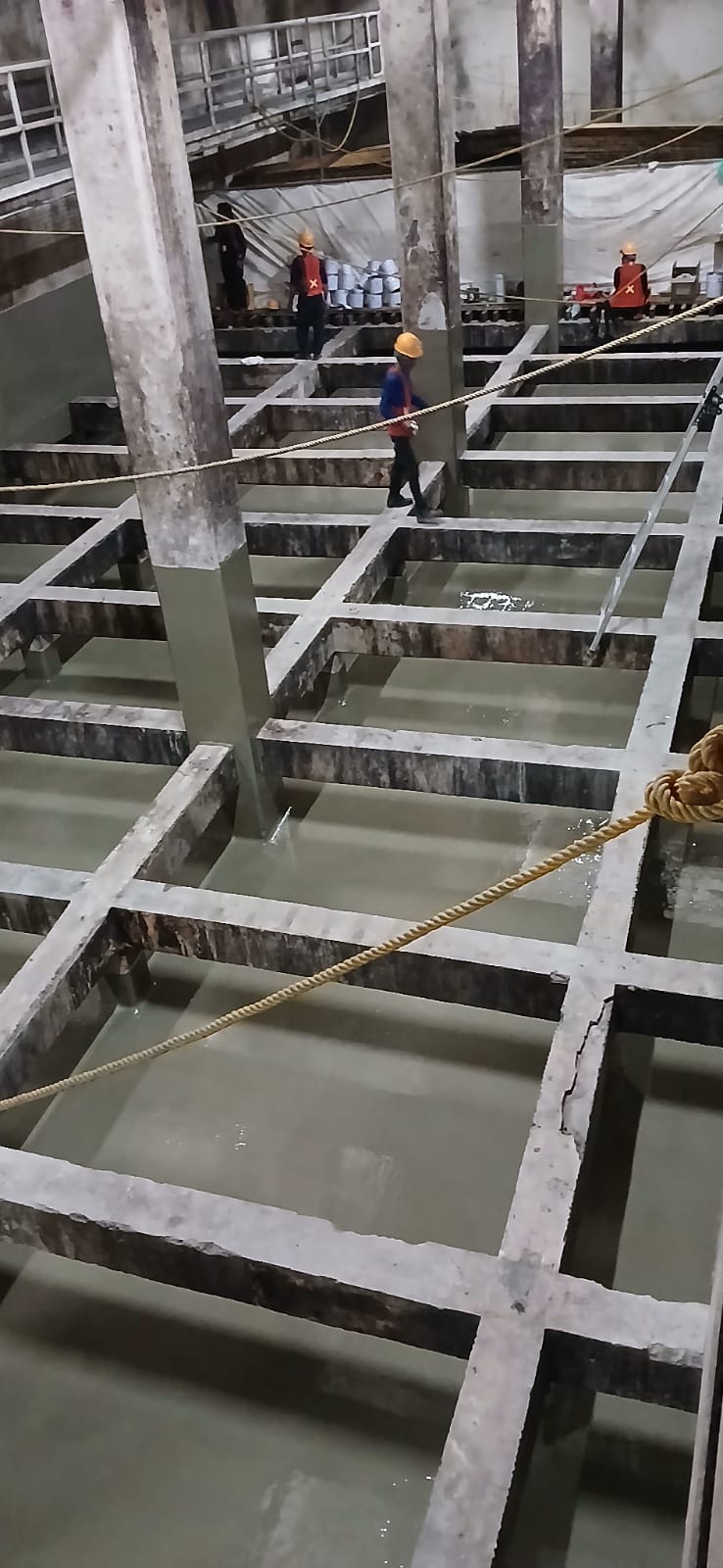 section-2.service-1.title